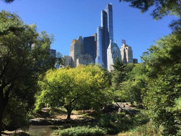 Climate Change Solutions - Top Green Strategies for US Cities Climate Change Solutions - Top Green Strategies for US Cities