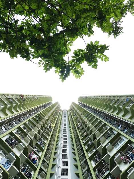 How to Improve Urban Air Quality through Green Tech Innovations